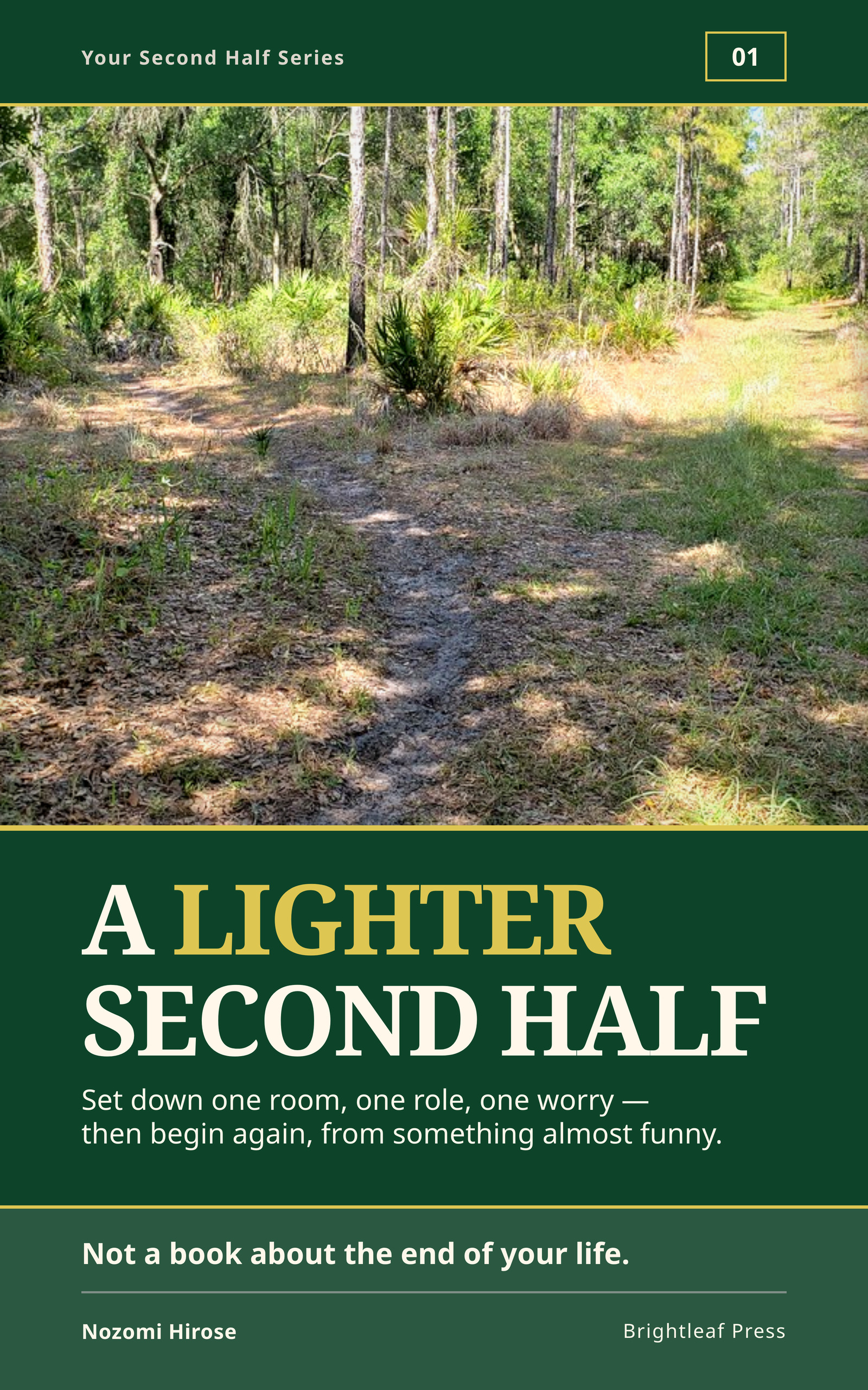 Cover of A Lighter Second Half by Nozomi Hirose