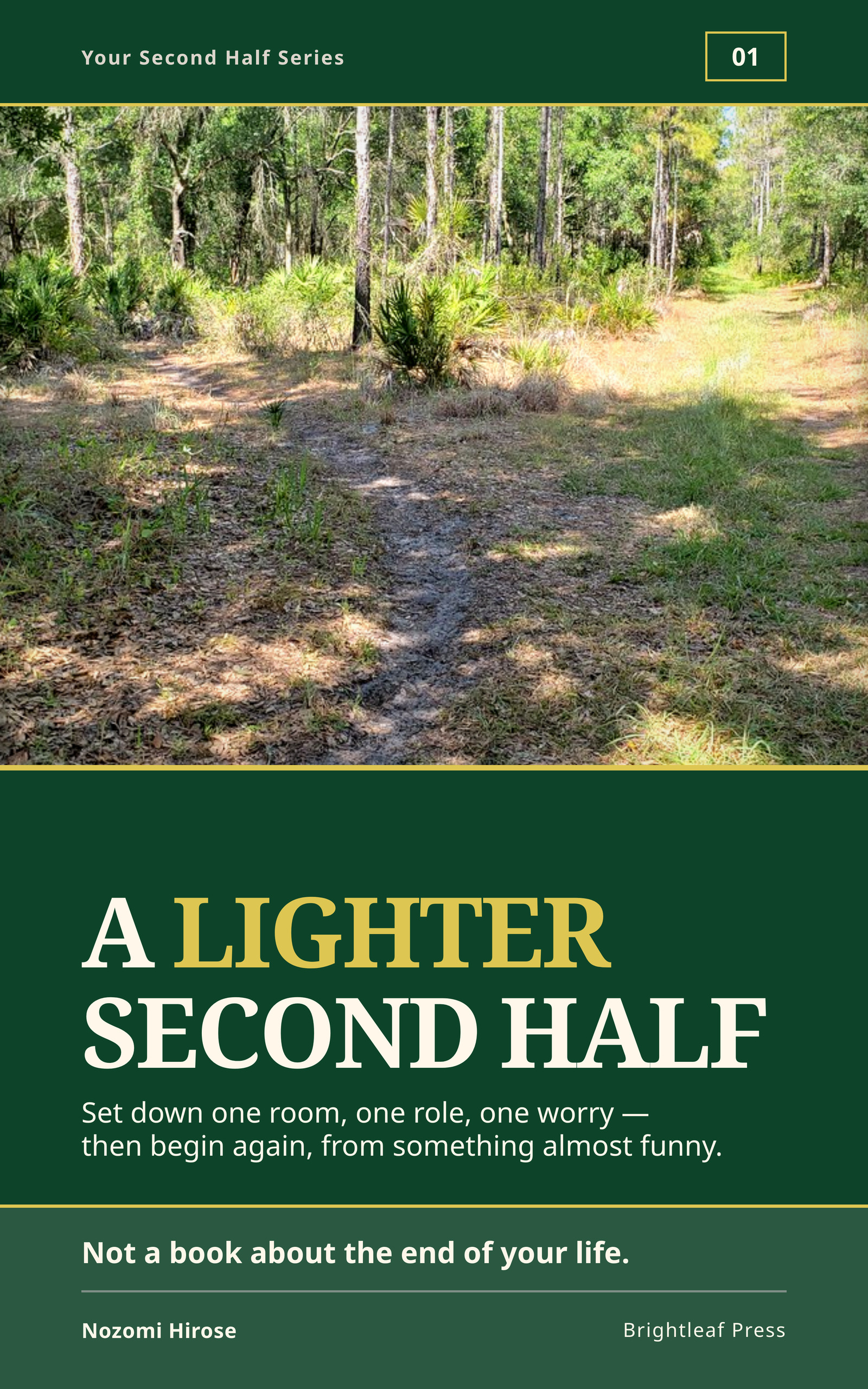 Cover of A Lighter Second Half by Nozomi Hirose